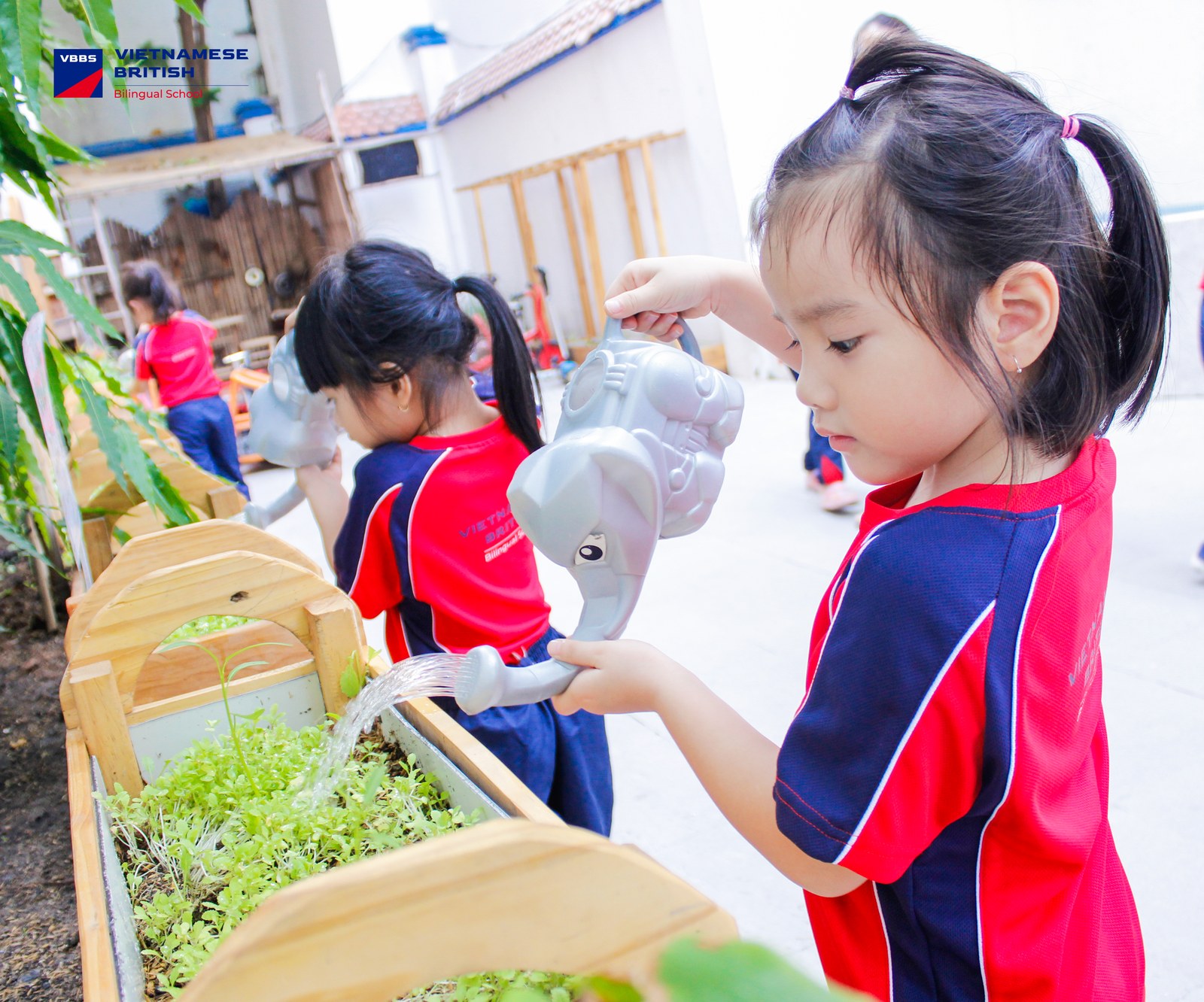 Dự án nông dân nhí: Khám phá vườn sinh thái và học hỏi từ thiên nhiên